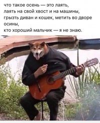 Развод зека по телефону