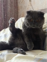 Фотоподборка за 23.03.2018