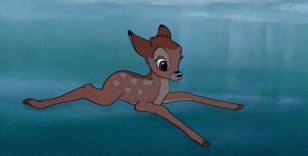 Подтаявший лёд порой становится непреодолимым препятствием для вот таких малышей!