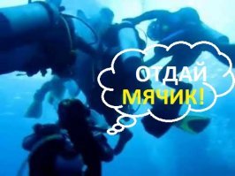 Доходная профессия — ныряльщик за мячами для гольфа