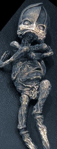 Кыштымский Алёшенька, братишка...