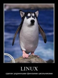 12 цитат фишкян о Linux, от которых так и тянет улыбнуться