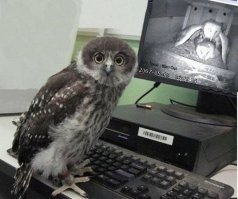 Смешные картинки