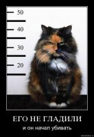 Субботний котопост