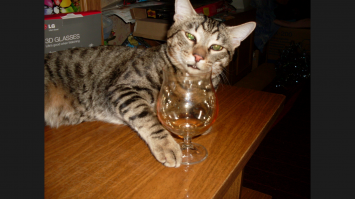 Ты меня уважаешь?