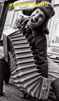 пока кот не нашел лампу