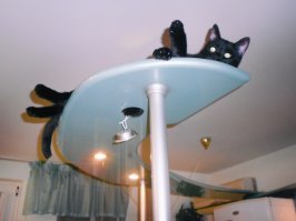 Наш младший жопень порядок наводит