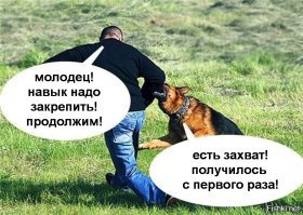 Когда и почему собаки нападают на человека?