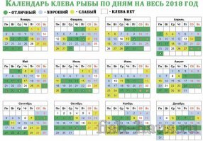 5 фактов, демонстрирующих нашу зависимость от лунного цикла