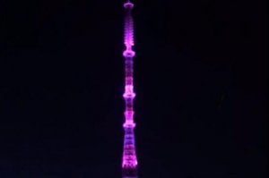 А у нас подсветили