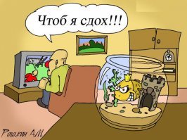 Почему полезно мечтать перед сном: исполняем желание силой мысли