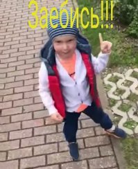 Акция "Причеши кота под Трампа!" завоевывает континенты