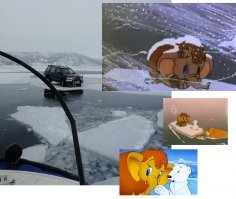 Подборка автомобильных приколов