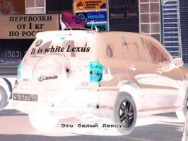 Автовсячина