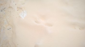 У нас тоже. Одесская область