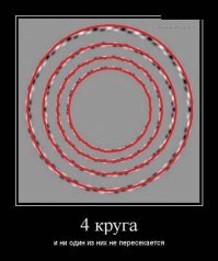 Прикольные картинки и фото приколы