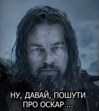 Бурые медведи Камчатки глазами фотографа Сергея Горшкова