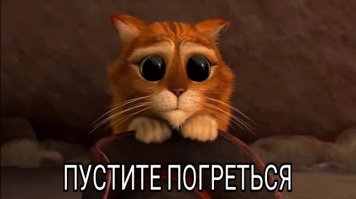 Кошки, которые ждут тепла больше, чем кто-либо