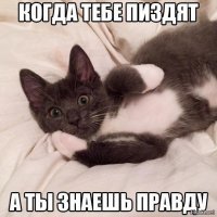 Котопост