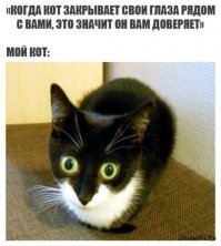 Смешные картинки
