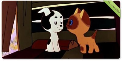 Смешные картинки с надписями