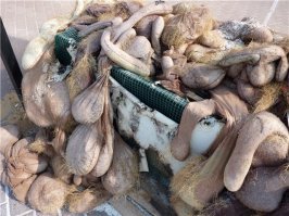 20 забавных фотоиллюзий из серии "показалось"