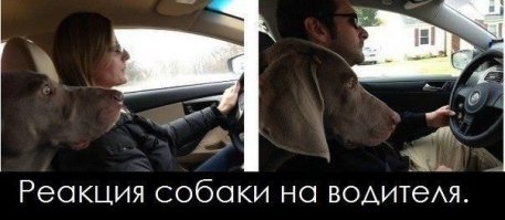Пока не НАСОбирАЛИ: героические девушки за рулем российских авто