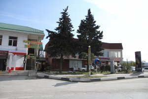 я в феврале в Сочи ездил, и очень расстроился когда увидел цветущую вишню. чому у них так хорошо (