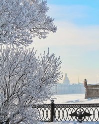 тем более обидно, что в средине марта ни какой отцвевшей алычи, а ударная порция белых мух, снял в Питере