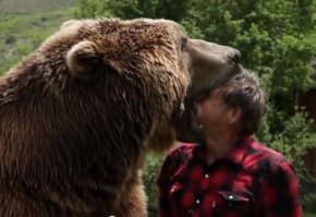 Медведь глазами фотографа.... Хм 
Я думал, это будет выглядеть как-то так: