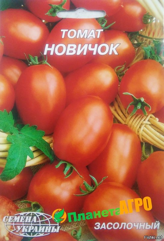 так, для общего развития...
в смысле - вы сами можете это выращивать... даже на подоконнике...