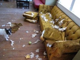 а это еще через день