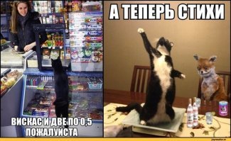 Фотоподборка за 26.03.2018