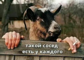  Как бороться со свинством соседей