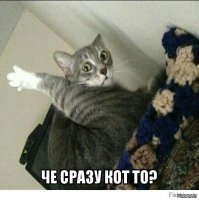 Двусторонняя френдзона