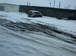 сосед взял цыплят на улице еще снег меняет каждый день под ними бумагу  2 раза. запаха нет цыплят 15 штук уже в перышках погода на сегодня