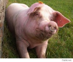 Девушка решила перевоплотиться в куклу, чтобы побороть свою застенчивость. Но вышло наоборот