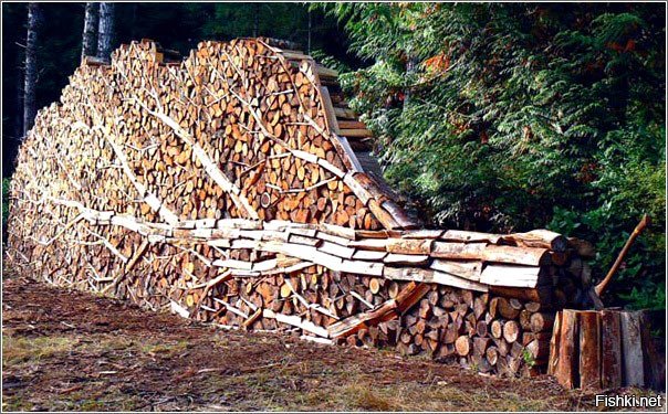 Креативные идеи для хранения дров