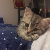 Коллега на работе рассказал почему бросил пить. Уважаю таких людей!