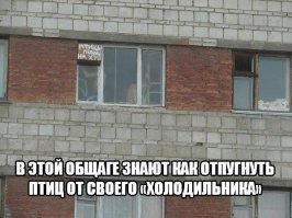 Способ бороться с птицами