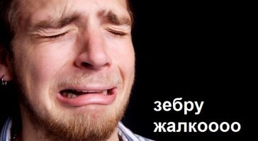 Доисторический юмор