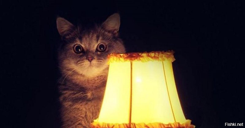 Девушка, а вы одна здесь рыбачите?