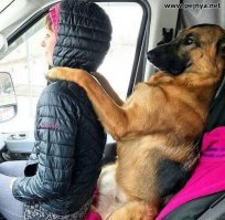 НА ВЫСТАВКУ ПОЕХАЛИ