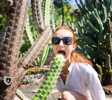 Американка обвенчалась с вековым фикусом ради его спасения