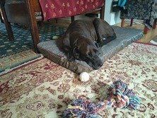 На мою похожа