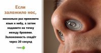 Это правда?