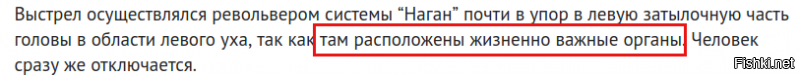 Печень, селезенка, почки, 12ти перстня кишка и т.д