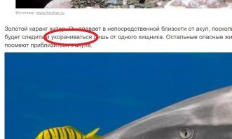 Долго думал, как ему это удаётся!