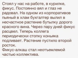 Американка обвенчалась с вековым фикусом ради его спасения