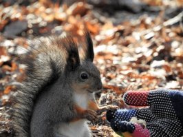 30 людей, которые случайно почувствовали себя диснеевскими принцессами
